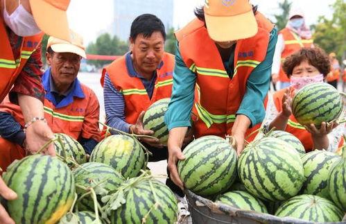 郯城吃瓜最新事件爆料视频,最新爆料视频揭露惊人真相 第1张 郯城吃瓜最新事件爆料视频,最新爆料视频揭露惊人真相 第1张