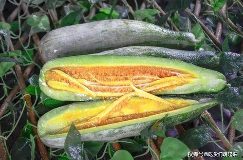 西藏网红吃瓜入口,入口瞬间引发全网热议！